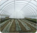 Cold Frames and High Tunnels - Growers Supply