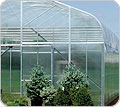 Polycarbonate & Greenhouse Film - Growers Supply