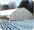 Cold Frames and High Tunnels - Growers Supply