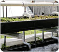 Hydroponic Systems - Growers Supply