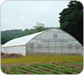 Commercial Greenhouses - Growers Supply