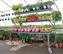 Display Racks & Benches - Growers Supply