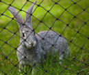 Fencing, Netting, & Repellent - Growers Supply