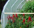 Greenhouse Covering - Growers Supply