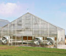 Greenhouses & High Tunnels - Growers Supply