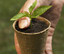 Growing Media & Containers - Growers Supply