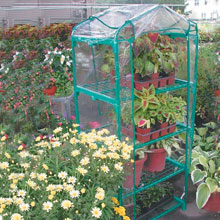  - 4-Tier Mini Greenhouse