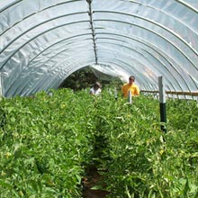 Round Style High Tunnel - Growers Supply