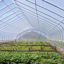 Gothic Style High Tunnel - Growers Supply