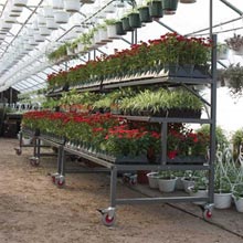 Display Racks &amp; Units - EZ-Grow 3-Level Plant & Display Bench