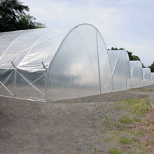 Cold Frames & High Tunnels - ClearSpan High Tunnel Add-A-Bay