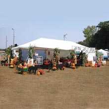 Canopies &amp; Party Tents - ClearSpan Jubilee Tent 20'W x 20'L - White