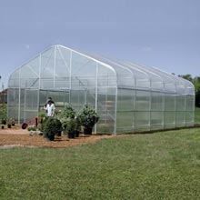 Commercial Greenhouses - Majestic Greenhouses - 20'-28'W