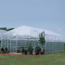 Commercial Greenhouses - Majestic Connect Greenhouses - 56'-84'W