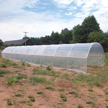 Cold Frames &amp; High Tunnels - EZ-Build & Gro Cold Frames