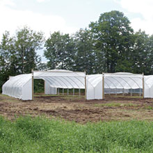 Multi-Bay High Tunnels - Growers Supply