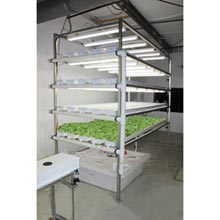 HydroCycle Vertical NFT Lettuce & Herb System - 6" Pro 5' System