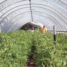 High Tunnel Growing - Growers Supply