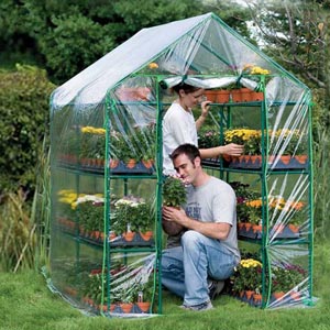  - Garden Starter Greenhouse