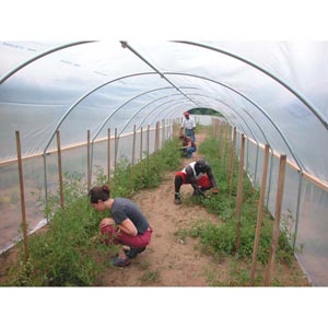  - Rafter Kits - 8'W