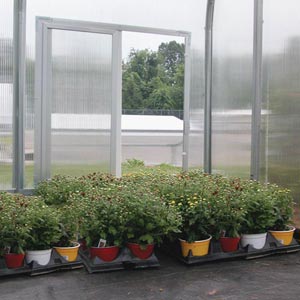 - 8MM Polycarbonate Vent Window - Sliding Window