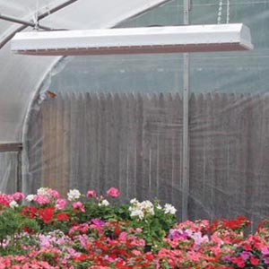  - 46" High Output Energy Efficient High Bay Fixture 54W T-5 - 6 Lamp