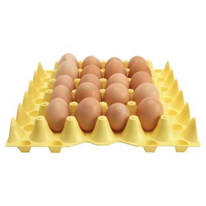  - 30-Egg Plastic Tray