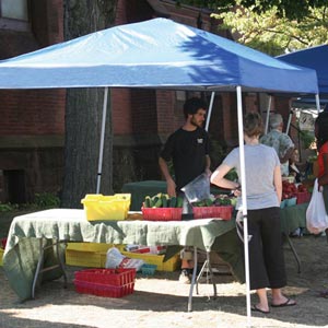 Monthly Specials - Pop-Up Canopies - On Sale!