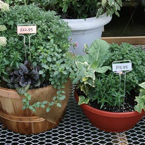 Plant Supports &amp; Accessories - Metal Garden Labels - Case of 120