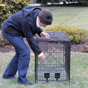 New Products - Foldable Live Animal Trap - Small