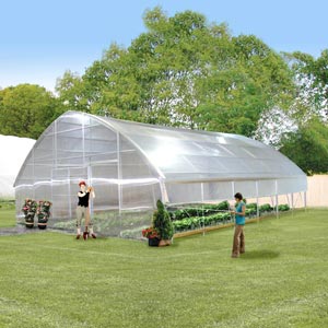 Commercial Greenhouses - Roll-Form Pro Solar Star Greenhouses - Pro Solar Star Greenhouses Series R035 - 35'W - Pro Solar Star Greenhouses Series R035 - 35'W x 72'L Ground Posts, Film, Roll Up Sides