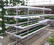 Demonstration Greenhouses - Growers Supply