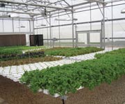 Demonstration Greenhouses - Growers Supply