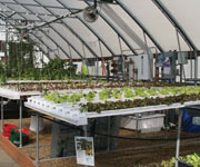 Demonstration Greenhouses - Growers Supply