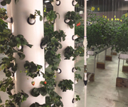 Growers Supply Technology Center
