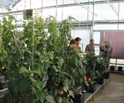 Growers Supply Technology Center