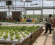 Growers Supply Technology Center