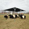 Shade Houses &amp; Shade Cloth - Add-A-Bay Shade System 10' x 20' Blocks