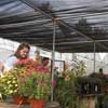 Shade Cloth &amp; Material - Add-A-Bay Shade System 10' x 20' Blocks