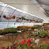 Irrigation &amp; Watering Supplies - Greenhouse Irrigation Systems
