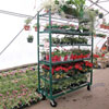 Display Racks &amp; Units - Transport and Display Rack