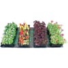 Seed Germination - Seedling Heat Mats