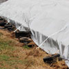 Tarps, Covers, Pond Liners - Storage Tarps - 7.5 oz. Custom Tarps