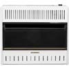 Greenhouse Heaters - Procom Blue Flame Heaters