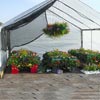 Greenhouses &amp;amp; High Tunnels - Hobby Greenhouses - WeatherShield Flower Garden Canopies