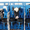  - Closeout Animal Management Products