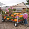 Nursery Carts &amp; Wagons - WeatherShield Canopy Wagons
