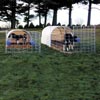 Fencing &amp; Containment - Livestock Fencing Systems