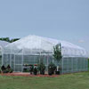 Commercial Greenhouses - Majestic Connect Greenhouses - 56'-84'W
