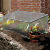 Hobby Greenhouses - Patio Growhouses - Backyard Hobby Cold Frame 38"L x 22"W